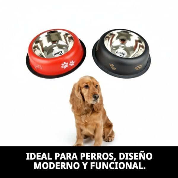 Comedero para perros en acero con diseño moderno, ideal para mascotas pequeñas y medianas.