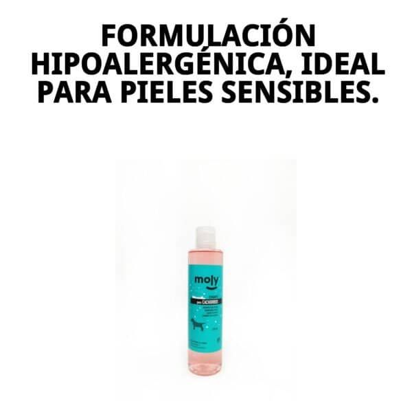 Champú para cachorros 250ml, limpieza suave y segura para pieles sensibles, ideal para perros delicados.