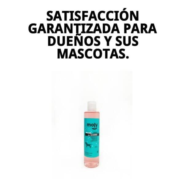 Champú suave para pieles sensibles de perros. Limpieza segura y efectiva.