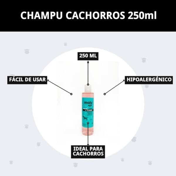 Champú suave y seguro para pieles sensibles de perros pequeños.