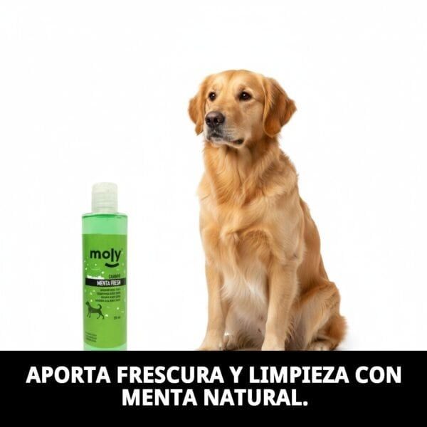 Champú natural, refrescante y suave para perros, elimina olores y mantiene su pelaje limpio y fresco.