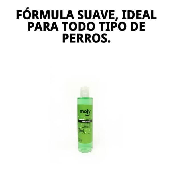 Champú refrescante y suave para perros de todas las razas, con aroma a menta y propiedades repelentes.