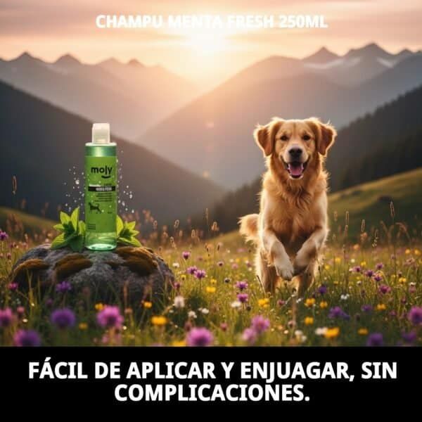 Champú refrescante para perros de todas las razas - Limpieza suave y efectiva con menta.