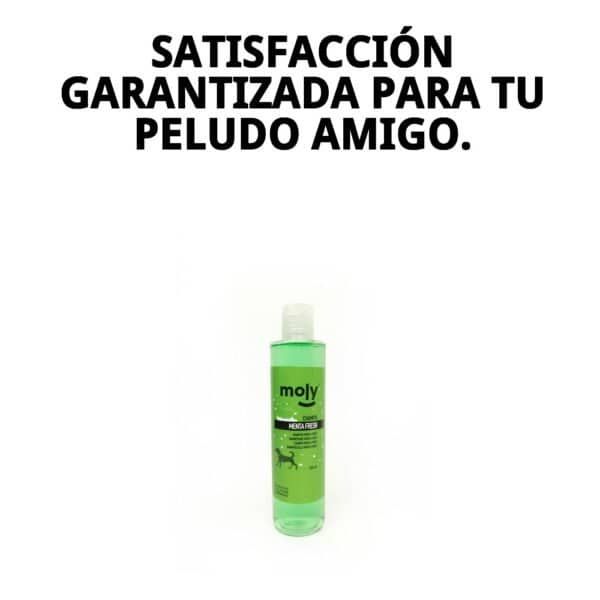 Champú para perros con menta fresca y repelnte, limpieza suave y refrescante. Ideal para todas las razas.