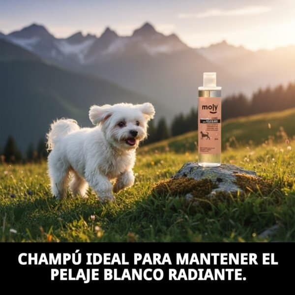 Champú para pelaje blanco y brillante mascotas en TodoMASKOTAS.