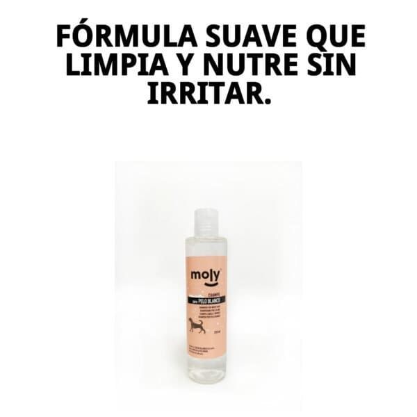 Champú para pelo blanco de 250ml Moly, ideal para iluminar, desamarillar y potenciar el brillo del pelaje claro.
