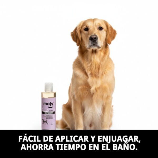 Champú para perros Moly, limpieza suave y diaria, fácil de aplicar y enjuagar. Ideal para todo tipo de perros.