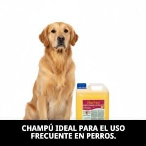 Champú uso frecuente 5L para perros con limpieza suave y diaria. Ideal para todo tipo de pelaje.