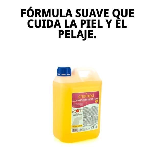 Champú para uso frecuente de 5 litros, ideal para limpieza diaria y delicada del cabello de cualquier tipo.