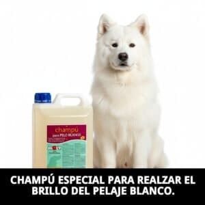 Champú para perros blancos y rubios.