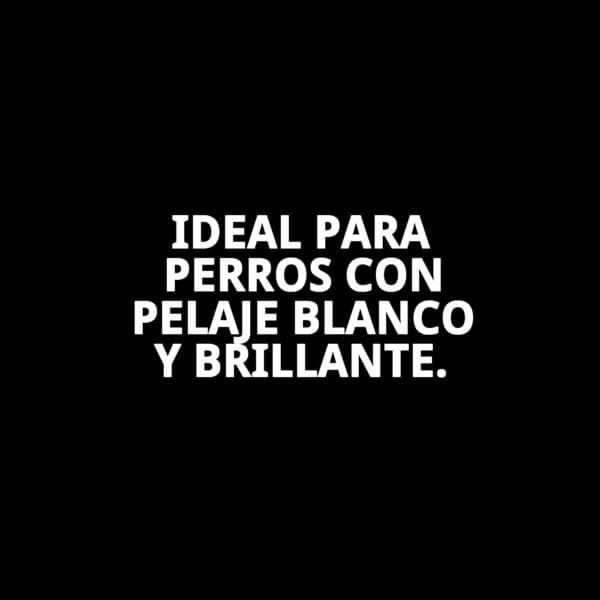 Champú para pelaje blanco y brillante para perros. Ilumina y desamaquilla con cuidado.