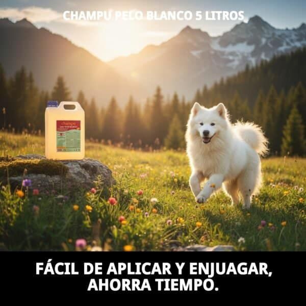 Champú para pelo blanco y rubio, ilumina y realza el brillo de pelajes claros.