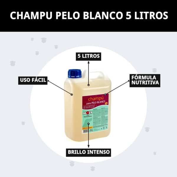 Champú para cabello blanco y rubio, ilumina, desamarilla y realza el brillo.