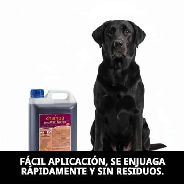 Champú para pelo negro en mascotas, realza color, brillo y vitalidad del pelo oscuro.