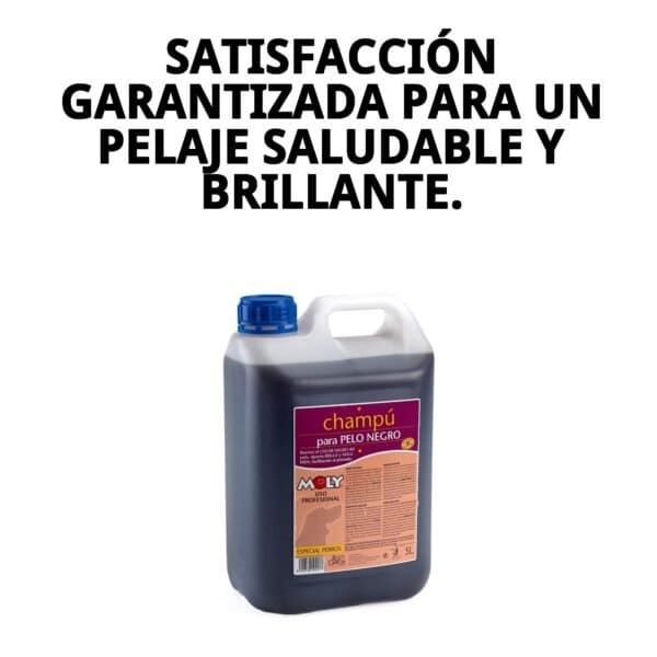 Champú para pelo negro que realza el color, brillo y vitalidad del pelaje oscuro. Ideal para mascotas con pelo negro.