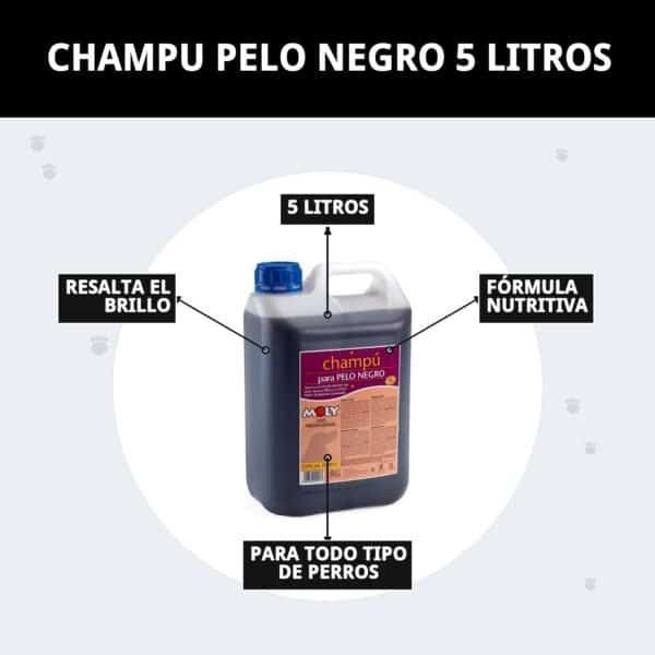 Champú pelo negro 5 litros Moly para perros, realza color, brillo y vitalidad del pelaje oscuro.