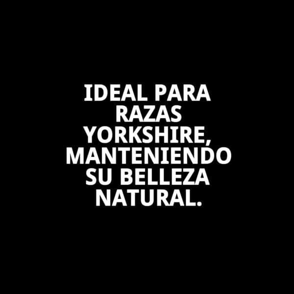 Champú manteca Yorkshire 5L.