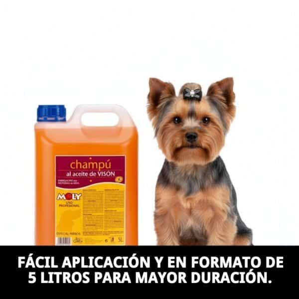 Q | Champú Yorkshire Visón 5L para pelo largo, brillo y suavidad profunda.