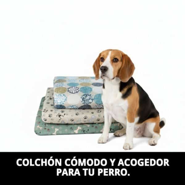 Cama para perros en diferentes diseños y tamaños, ideal para el descanso de tu mascota.