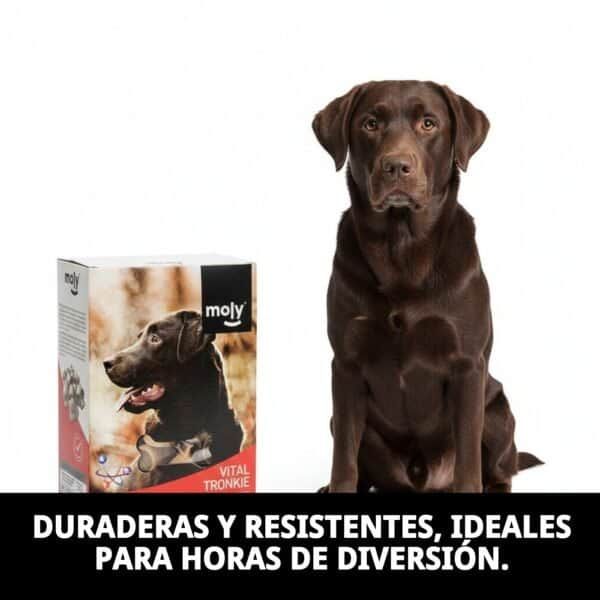 Galletas rellenas para perros de 400 gramos, duraderas y resistentes, ideales para horas de diversión.