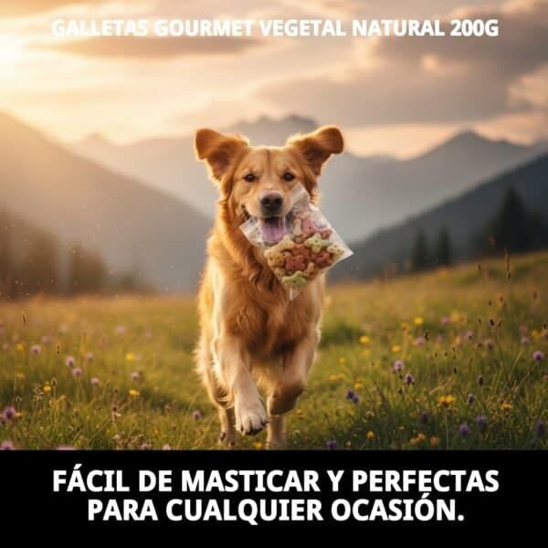 Alt text: Galletas gourmet vegetales naturales en paquete, ideal para perros saludables.