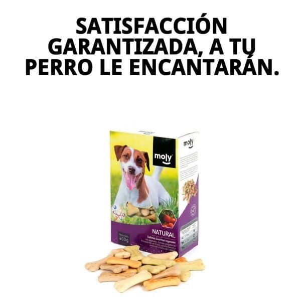 Galletas gourmet vegetales para perros, naturales y saludables, 400 g de snack para mascotas.