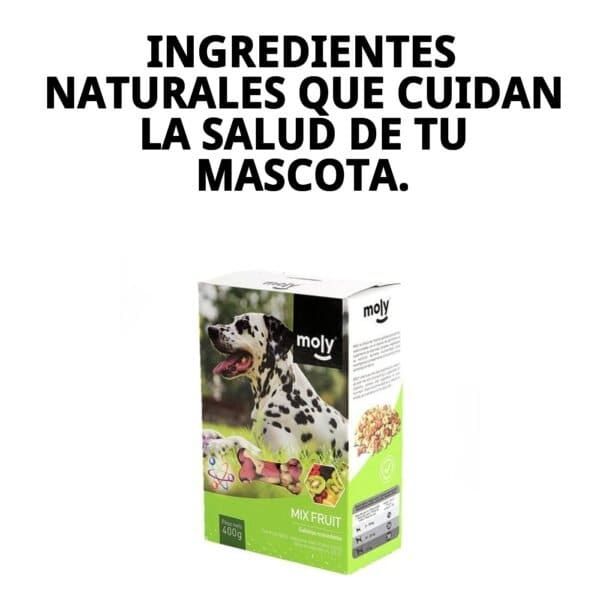 Galletas Mix Fruit Macedonia 400G para perros, snack natural de frutas saludables.