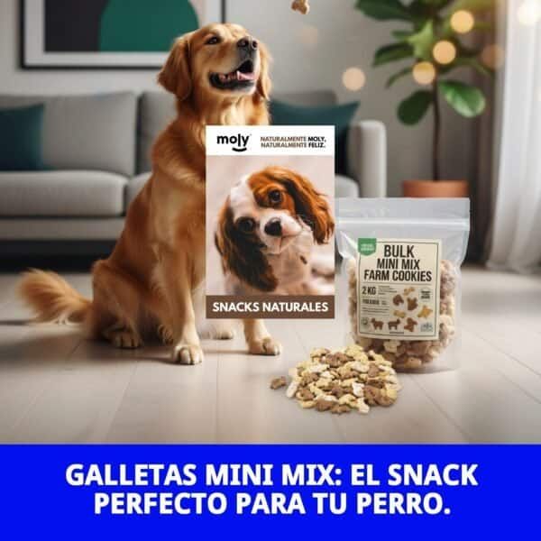 Galletas naturales para perros en granel, crujientes y sabrosas. Ideal para premio o snack saludable.