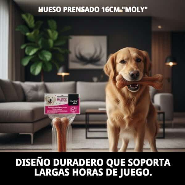 Hueso prensado duradero para perros de tamaño medio, juguete natural resistente.