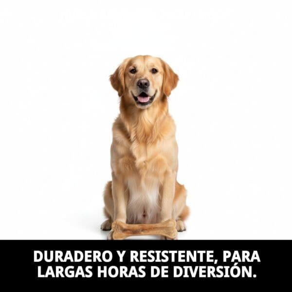 Hueso de 21 cm para perros de tamaño medio, snack natural y resistente para largas horas de diversión.