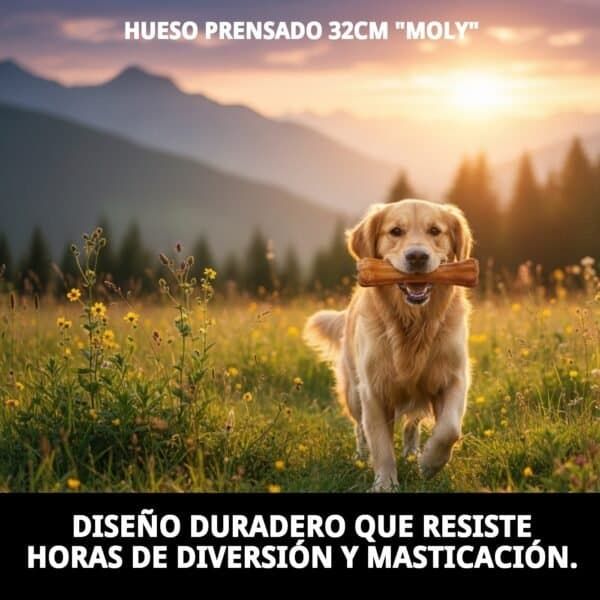 Hueso prensado natural para perros medianos, duradero y resistente para masticar largas horas.