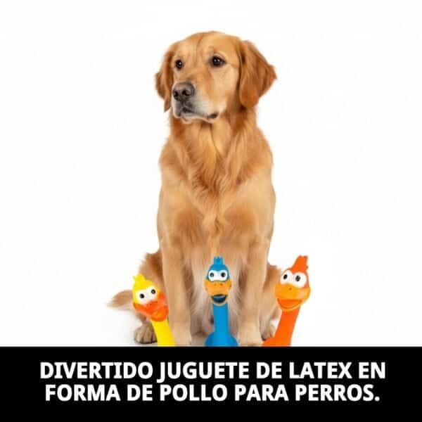 Juguete de látex de pollo para perros con sonido, resistente y divertido. Ideal para mascotas que aman jugar.