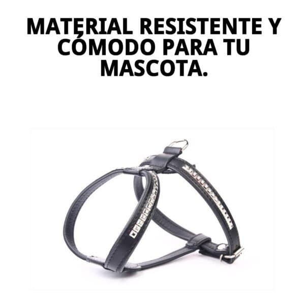 Arnés de piel de lujo con clavos, resistente y cómodo para mascotas. Perfecto para perros pequeños y medianos.