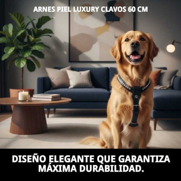 Arnés piel de lujo con clavos para perros de 60 cm, resistente y elegante.