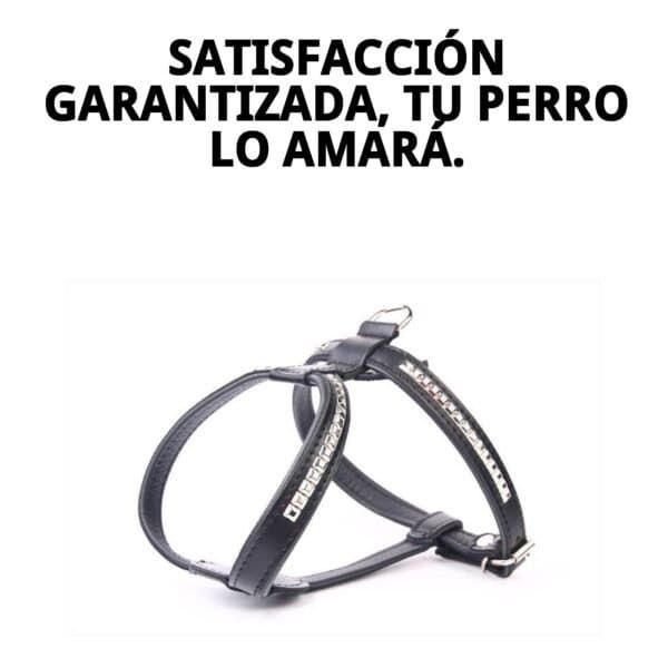 Arnés de piel para perros con clavos, tamaño 60 cm, resistente y elegante.