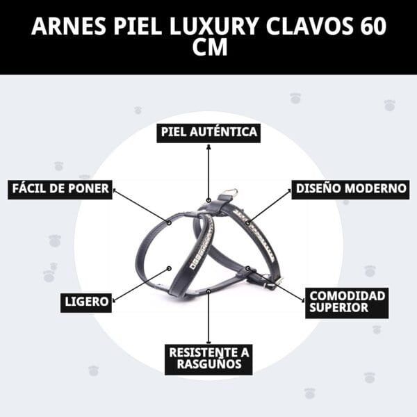 Arnés de piel auténtica con clavos de 60 cm, ideal para mascotas elegantes y resistentes.
