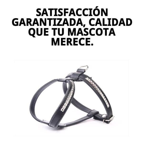 Correa para gatos de piel con detalles en clavos, resistente y elegante.