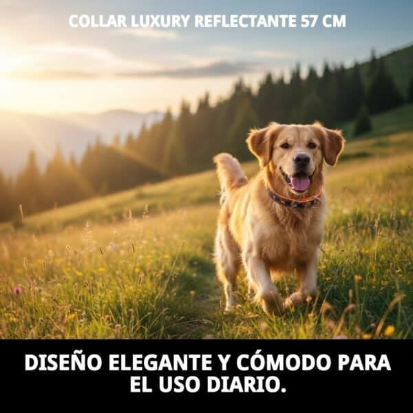 Correa de perro reflectante, resistente y segura para caminatas diarias.