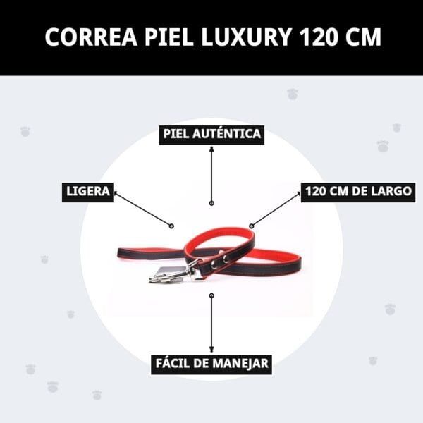 Correa de piel auténtica de 120 cm, ligera y fácil de manejar para perros de lujo.