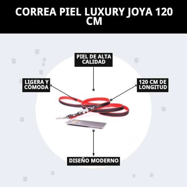 Correa piel de alta calidad y moderna para mascotas, 120 cm de longitud y diseño cómodo.