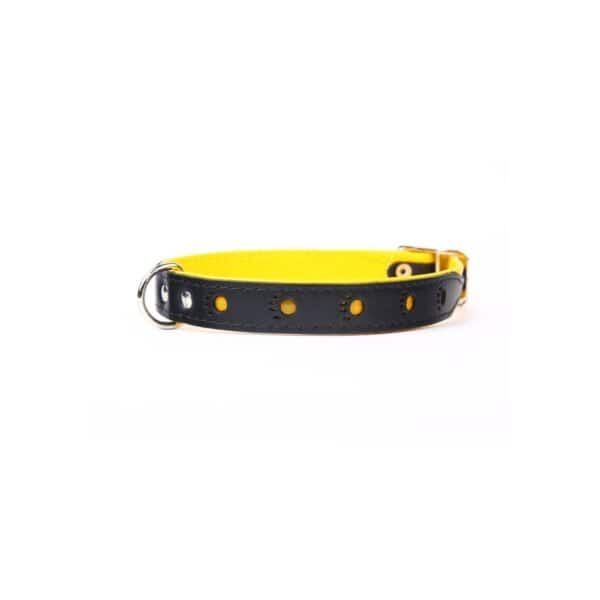 Collar de piel para perros, lujo y resistencia, huella de diseño, 45 cm.