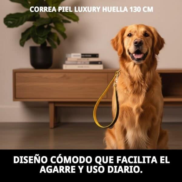 Correa de piel de lujo para perros, resistente y elegante, ideal para paseos diarios.