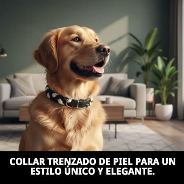 Collar de piel trenzada para perros, elegante y de alta calidad, ideal para mascotas sofisticadas.