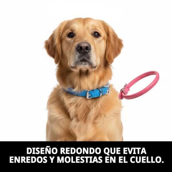 Collar de piel redondo para perros, comodidad y estilo en 40 cm.