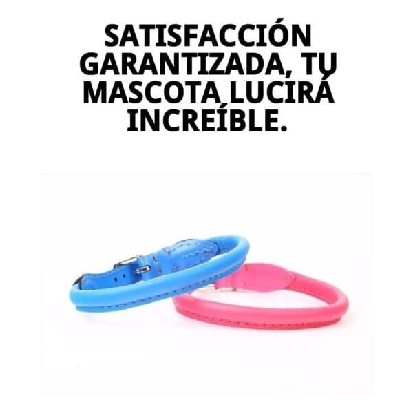 Collar de piel de 40 cm en color rojo ideal para perros y gatos. Lujo y comodidad en la mejor calidad.