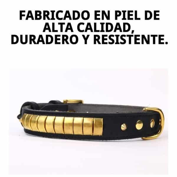 Collar de piel de alta calidad para mascotas, diseño elegante y resistente, tamaño 65 cm.