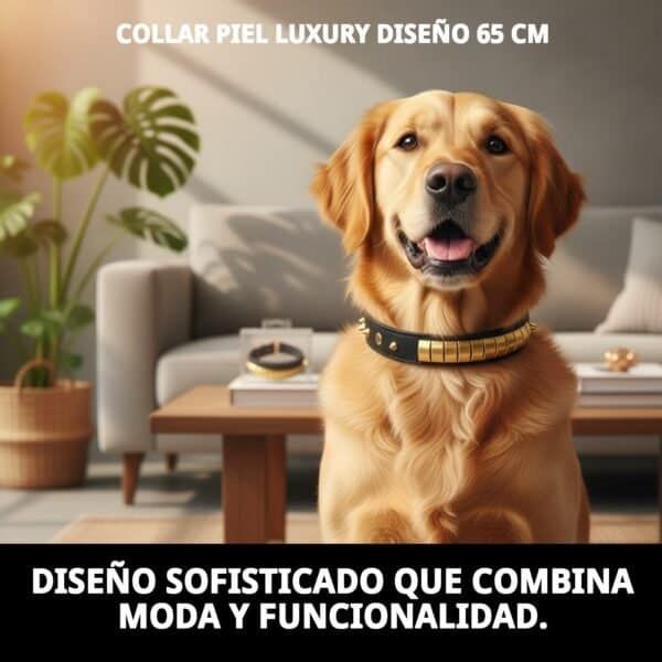 Collar piel de lujo para perros, diseño elegante y resistente de 65 cm.