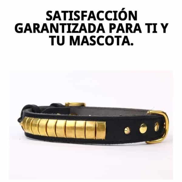 Collar de piel con diseño de lujo, 65 cm de tamaño, ideal para mascotas exclusivas.