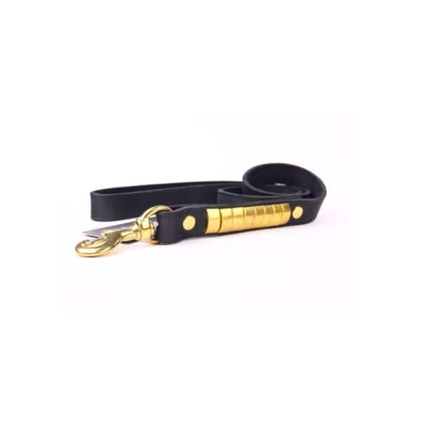 Correa de piel y cuero con detalles dorados para mascotas, resistente y elegante.