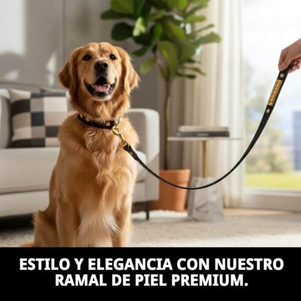 Correa de piel para perros de lujo, 110 cm, diseño elegante y resistente.